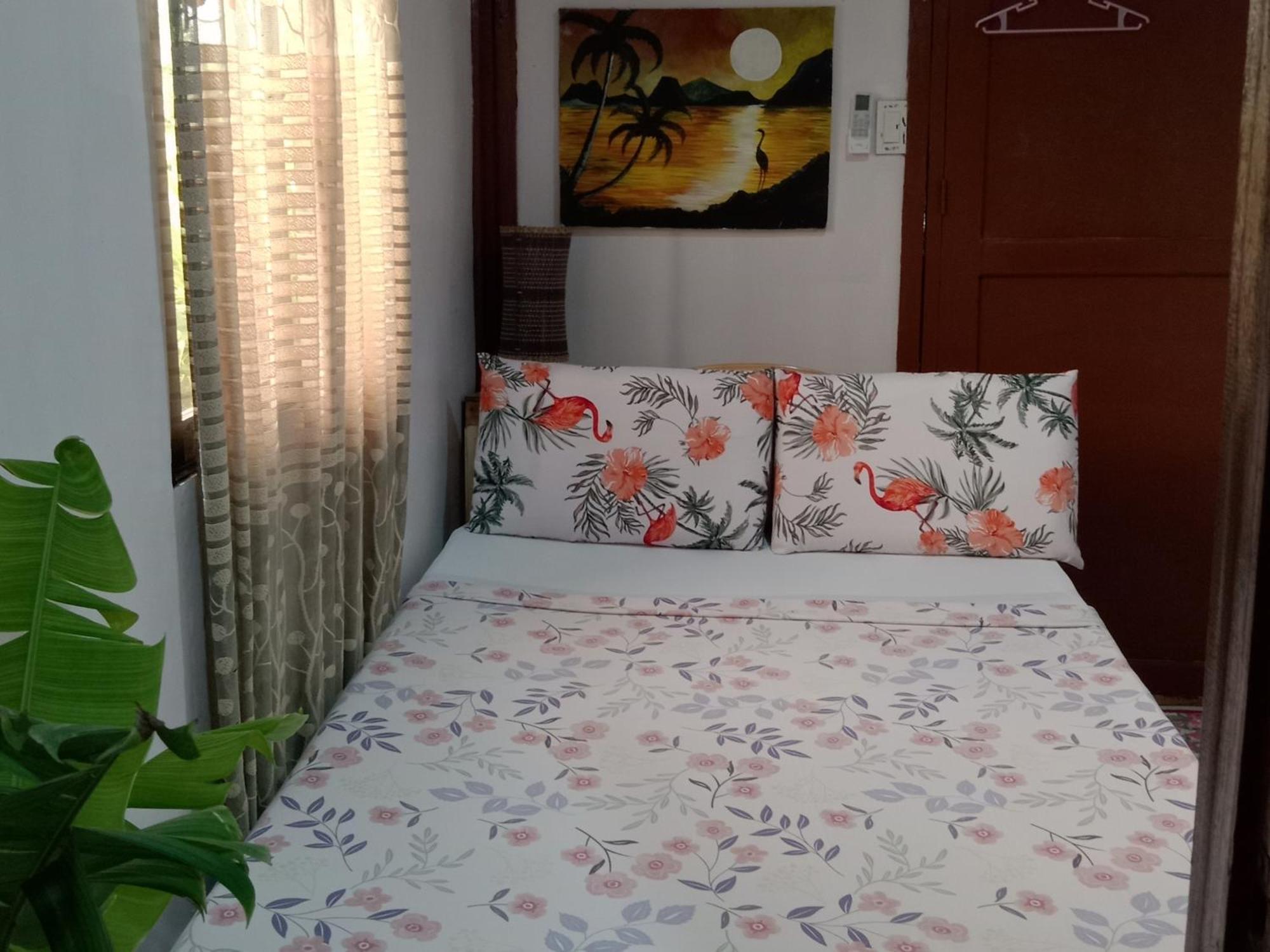 Vincent Lloyd's Pension Hauz San Vicente  Extérieur photo